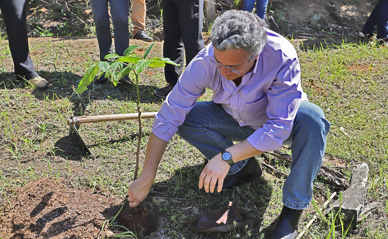 Foto do prefeito Guilherme Gazzola plantando uma arvore no evento