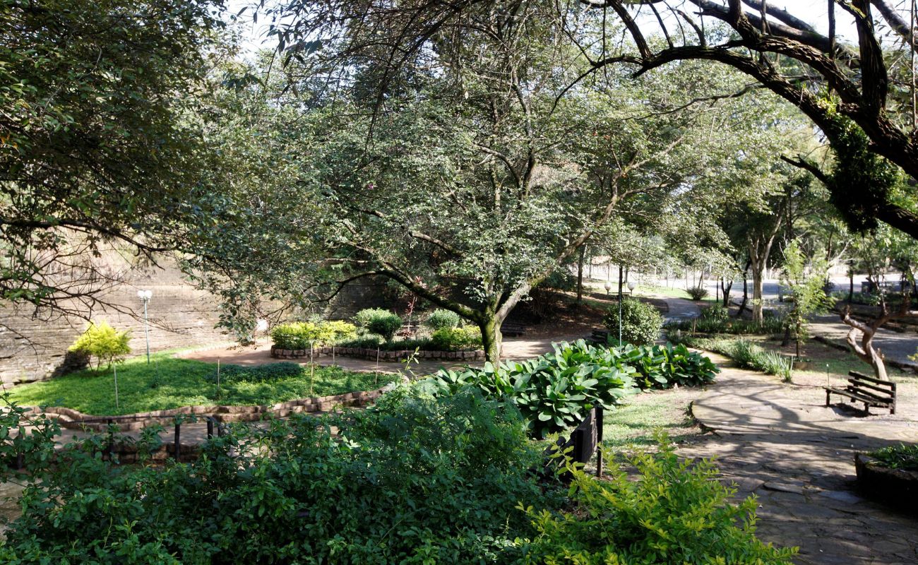 Imagem colorida mostra um ponto bem arborizado do Parque do Varvito