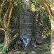 Imagem mostra uma cachoeira e duas árvores localizadas no Parque do Varvito, local onde ocorrem as aulas de yoga.