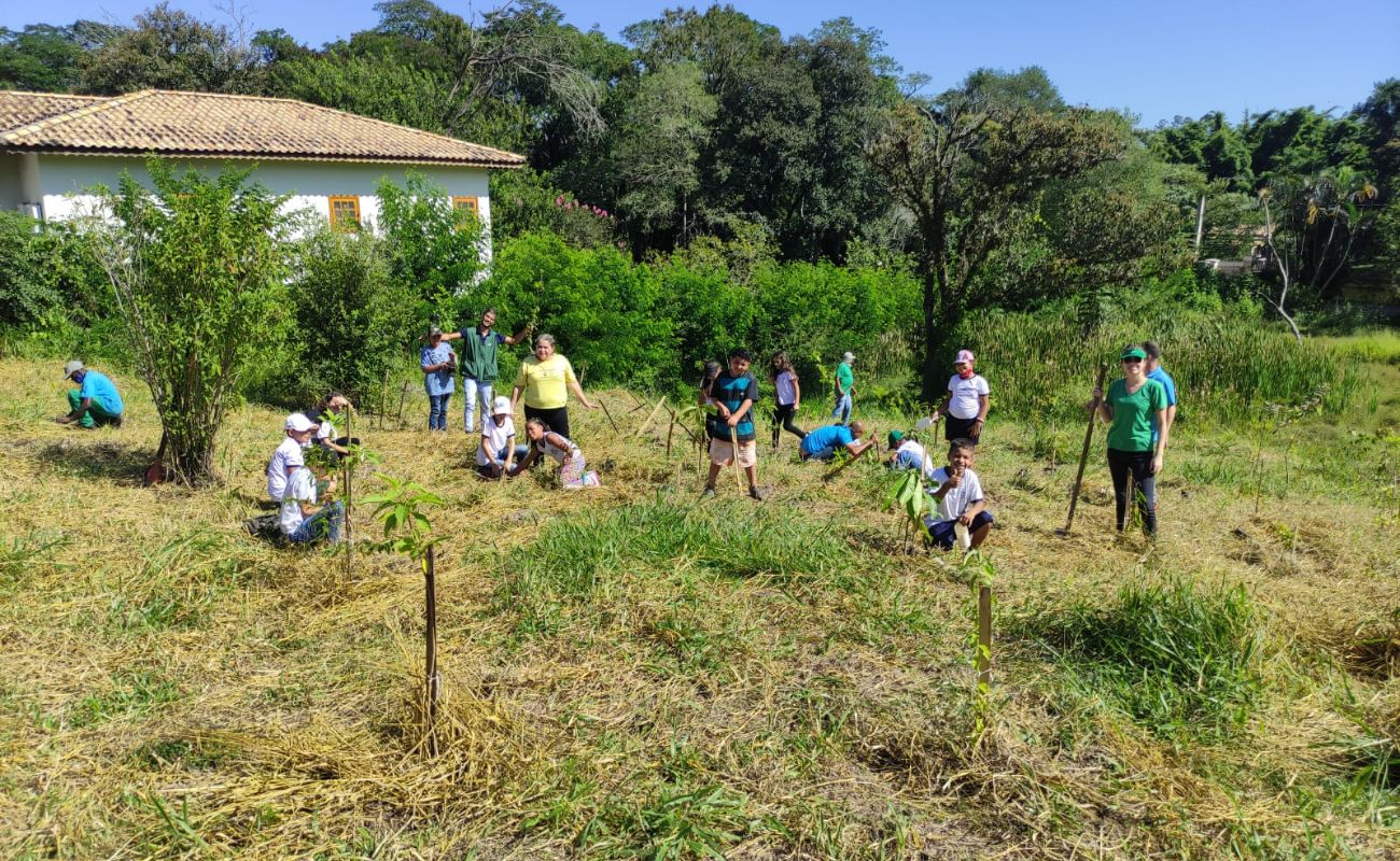 Imagem mostra pessoas entre adultos e crianças em uma área de plantio, local verde onde é realizada uma das atividades ambientais.