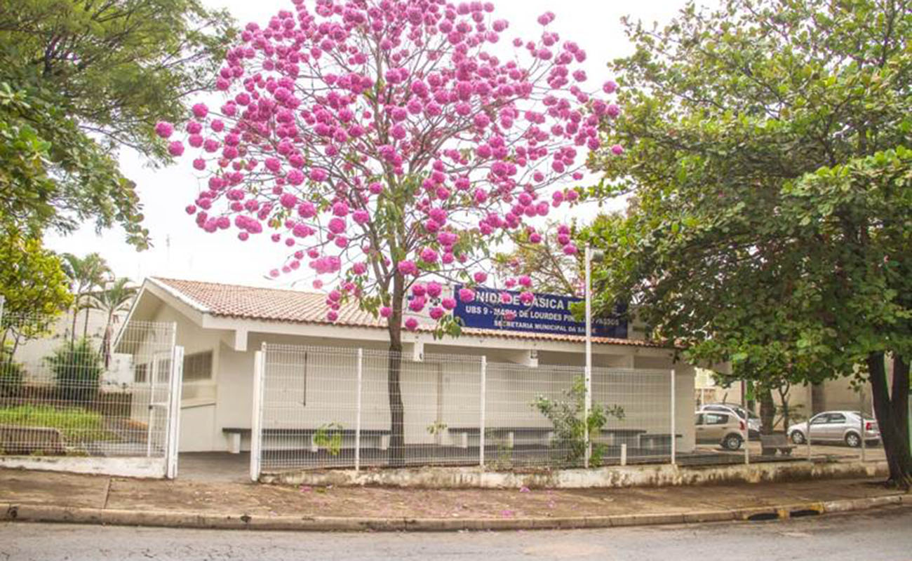 Imagem mostra a fachada da UBS 9, que contempla de uma linda árvore, ipê rosa florido. Essa UBS é um dos pontos de atendimento da campanha de vacinação.