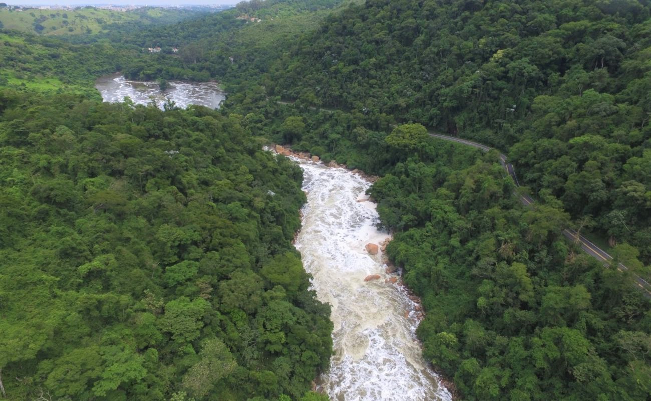 Imagem aérea mostrando o rio tietê em meio a mata.