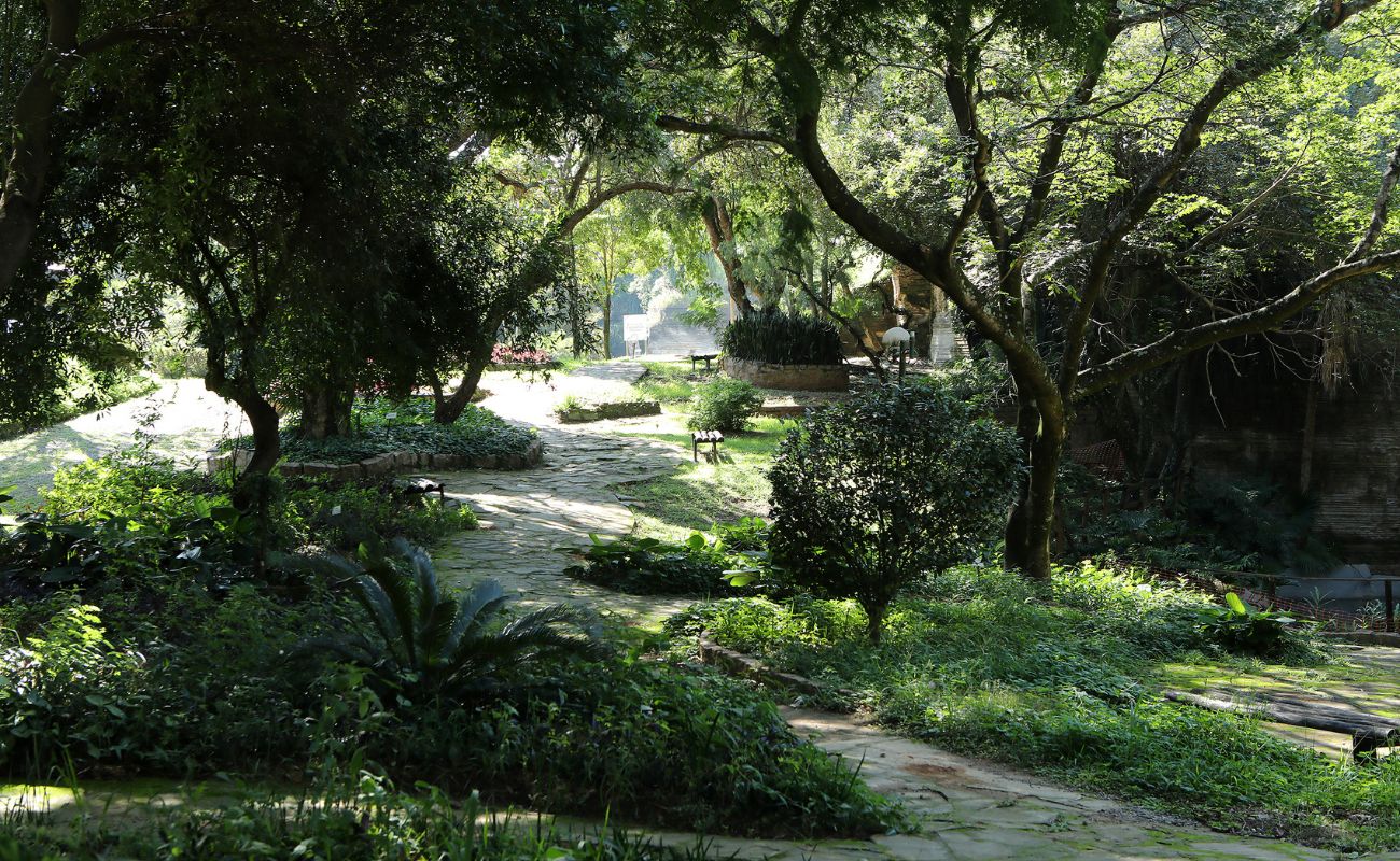 Imagem mostra um dos pontos do Parque do Varvito, com um caminho em meio a árvores, local em que ocorrerá o evento Yoga Livre.