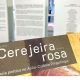 Imagem mostra a capa do folder de divulgação para a exposição a Cerejeira e a rosa, que retrata reflexão sobre a vida de pessoas com hanseníase