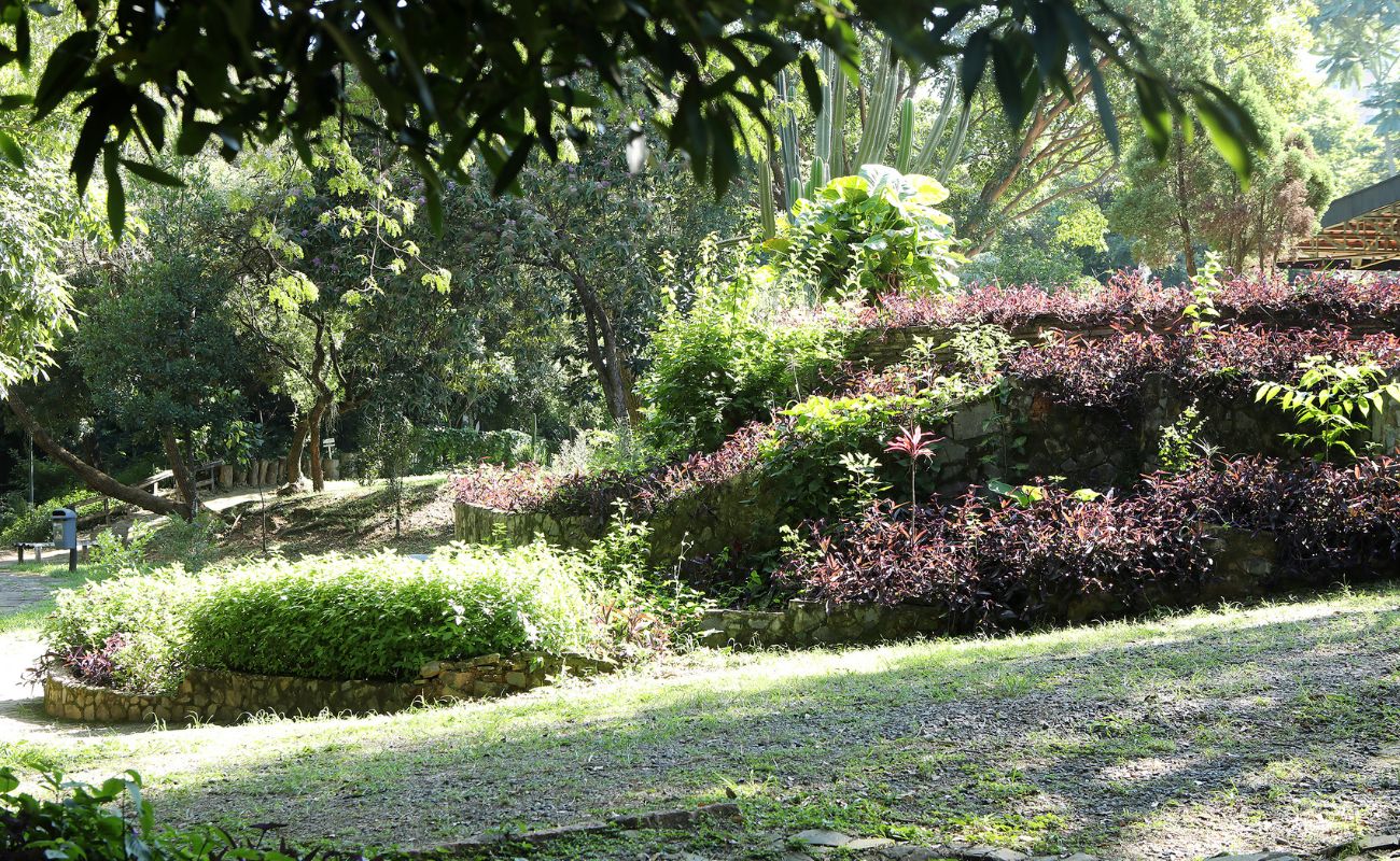Imagem mostra um dos pontos arborizados do Parque do Varvito, local onde ocorre a prática de yoga livre todo terceiro domingo do mês.