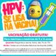 Imagem mostra uma arte com todas as informações sobre a vacina HPV