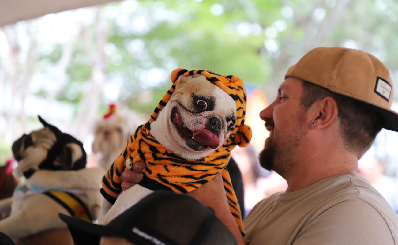 Imagem mostra um dos cachorros que se apresentaram no evento, no colo do seu tutor.