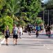vida em movimento itu