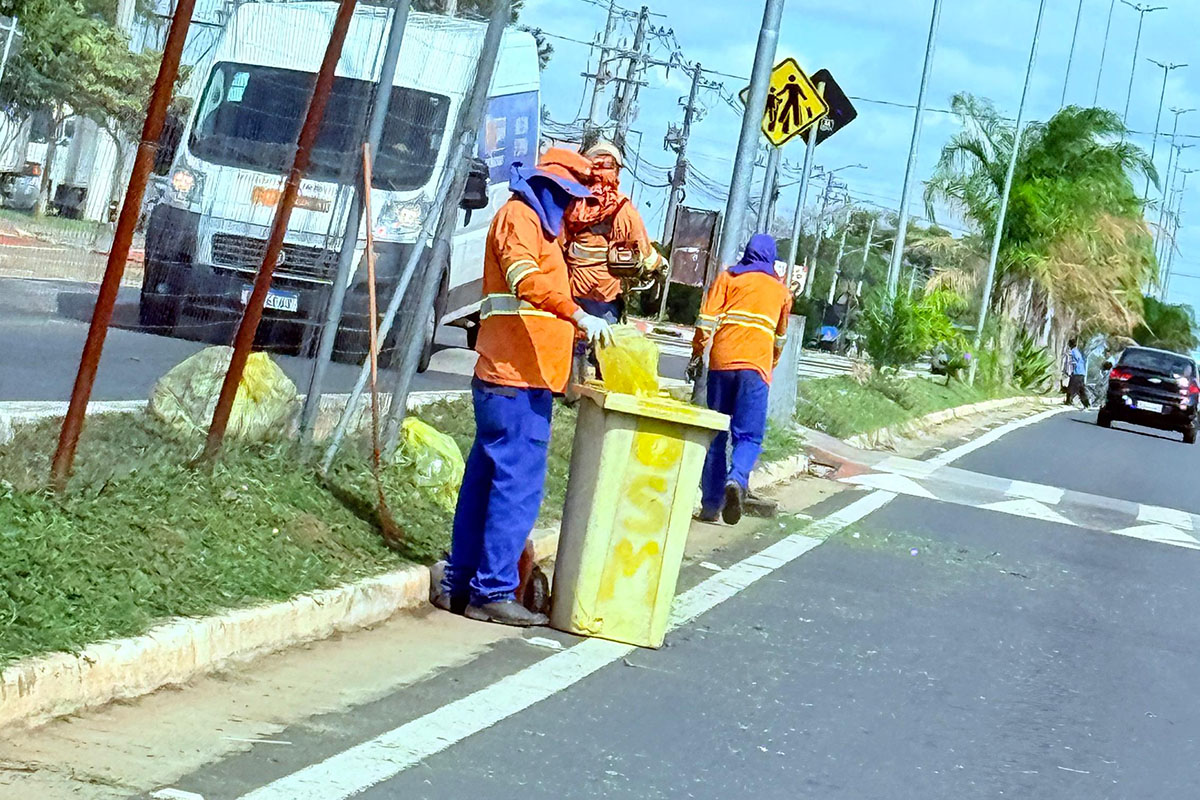 canteiro SP79